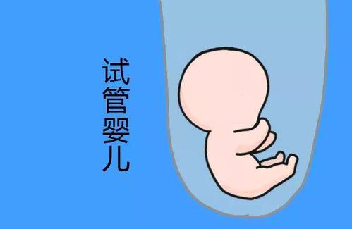 供卵代怀价格